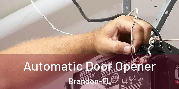  Automatic Door Opener Brandon-FL
