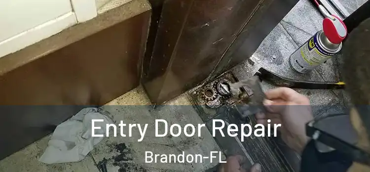 Entry Door Repair Brandon-FL