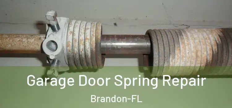  Garage Door Spring Repair Brandon-FL