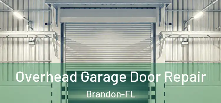 Overhead Garage Door Repair Brandon-FL